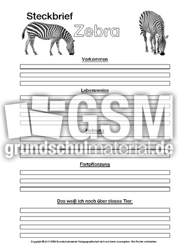 Zebra-Steckbriefvorlage-sw-2.pdf